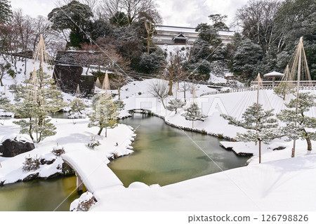 金澤城玉仙人丸庭園的雪景 126798826