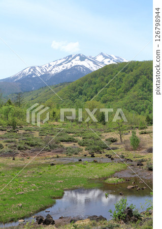 Norikura Plateau in early summer 126798944