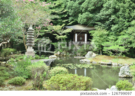 毘沙門堂萬水園的夏天（京都市山科區） 126799097