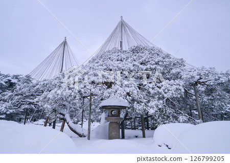 清晨的兼六園，雪景絕美 126799205