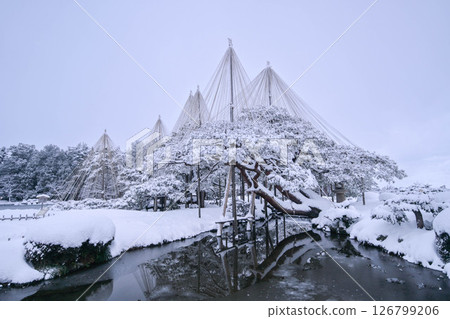 清晨的兼六園,雪景絕美 清晨的兼六園,雪景絕美 126799206