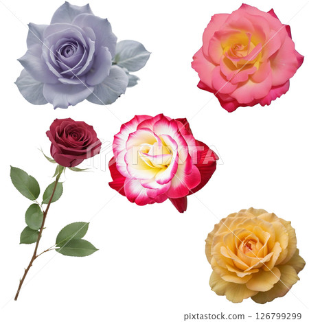 A rose vase and four types of petals transparent PNG material 126799299