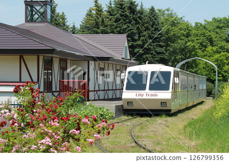 Lily Train Sapporo Flower Spot Yurigahara Park Flower Park 126799356