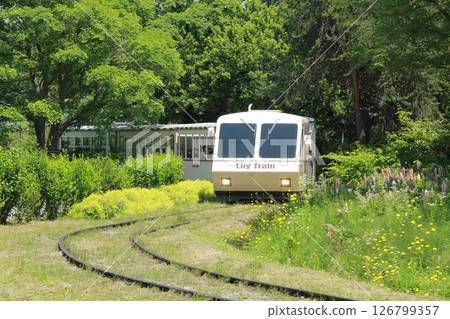 百合列車 札幌花景點 百合之原公園 花卉公園 126799357