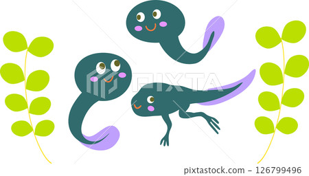 Tadpoles 2 126799496