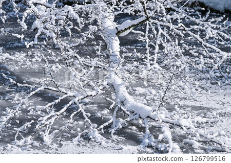 在蔚山的雪景 在蔚山的雪景 126799516