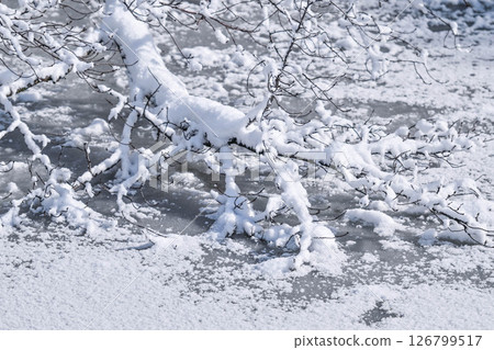 在蔚山的雪景 在蔚山的雪景 126799517