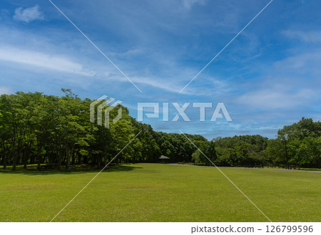 Hokuso Hananooka Park: Green lawns and a spacious park 126799596