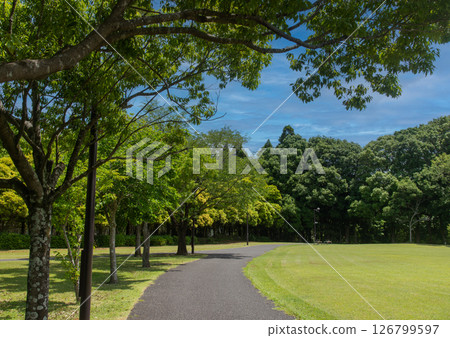 Hokuso Hananooka Park: Fresh green trees and paths 126799597