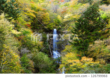 Autumnal forest and Hebiou Falls - Nature in Nikko City 126799968