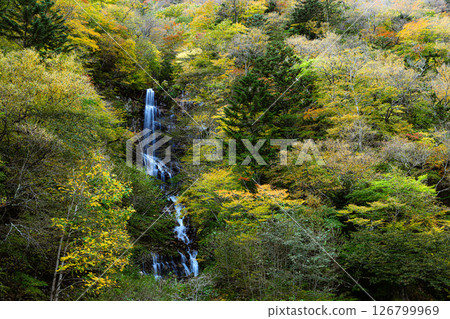 Autumnal forest and Hebiou Falls - Nature in Nikko City Autumnal forest and Hebiou Falls - Nature in Nikko City 126799969