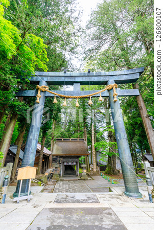 Early summer at Suwa Taisha Kamisha Honmiya, Suwa City, Nagano Prefecture 126800107