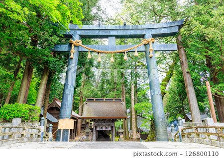 Early summer at Suwa Taisha Kamisha Honmiya, Suwa City, Nagano Prefecture Early summer at Suwa Taisha Kamisha Honmiya, Suwa City, Nagano Prefecture 126800110