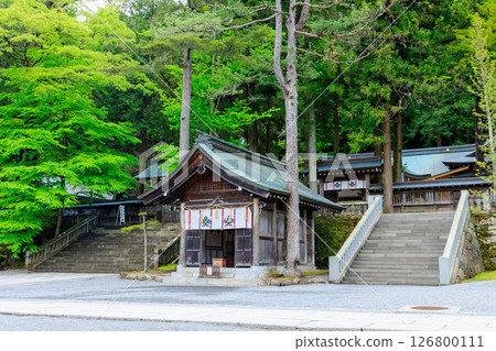 Early summer at Suwa Taisha Kamisha Honmiya, Suwa City, Nagano Prefecture 126800111