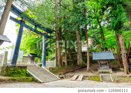 長野縣詰訪市詰訪大社上社本宮的初夏 長野縣詰訪市詰訪大社上社本宮的初夏 126800112