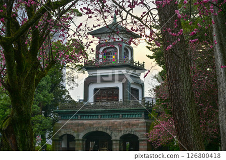 梅花盛開的尾山神社 126800418
