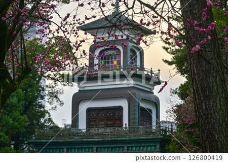 梅花盛開的尾山神社 126800419