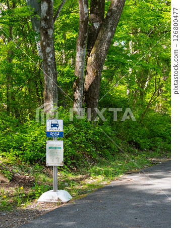 山梨縣北杜市綠色森林中的本地需求巴士站 山梨縣北杜市綠色森林中的本地需求巴士站 126800477