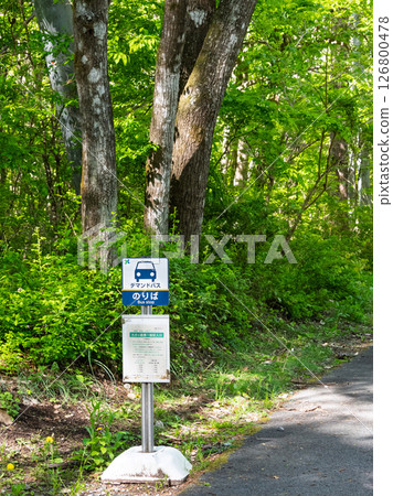A local demand bus stop nestled in the green forest of Hokuto City, Yamanashi Prefecture 126800478