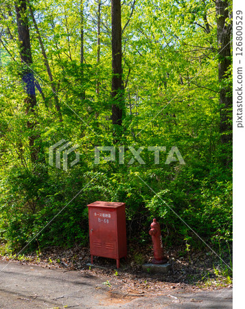 Disaster prevention facilities in a quiet forest of fresh greenery 126800529