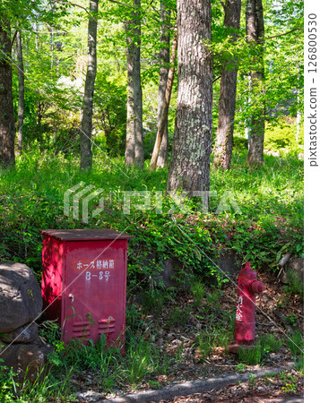 Disaster prevention facilities in a quiet forest of fresh greenery 126800530
