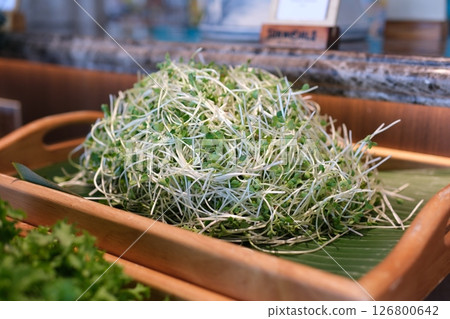 microgreens radish dish on a light background, salad with microgreens. Sprouts. Organic vegetables. Mix of food sprouts - alfalfa, radish, clover in a bowl. Micro greens on white. Healthy eating. microgreens radish dish on a light background, salad with microgreens. Sprouts. Organic vegetables. Mix of food sprouts - alfalfa, radish, clover in a bowl. Micro greens on white. Healthy eating. 126800642