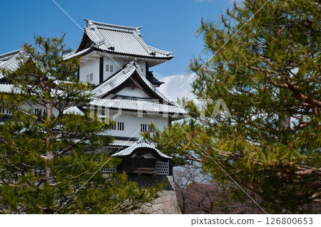 Spring scenery at Kanazawa Castle Park 126800653