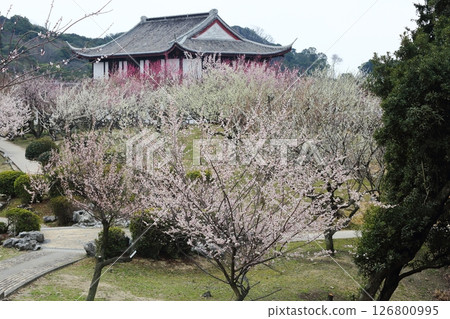 Ume Park in the world 126800995