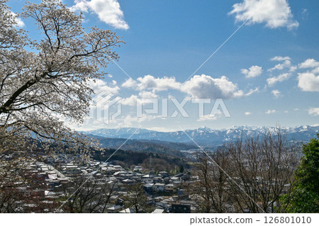 Cherry blossoms bloom in Kanazawa with snow-capped mountains in the background Cherry blossoms bloom in Kanazawa with snow-capped mountains in the background 126801010