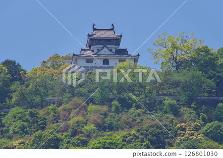 Iwakuni Castle seen from the Nishiki River Yokoyama Riverbed Sports Ground Iwakuni Castle seen from the Nishiki River Yokoyama Riverbed Sports Ground 126801030