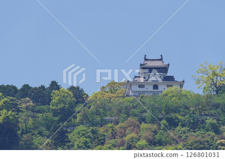 從錦川橫山河床運動場眺望岩國城 從錦川橫山河床運動場眺望岩國城 126801031