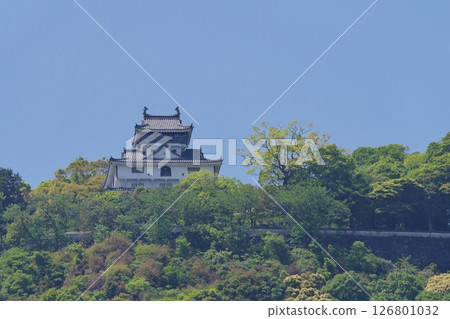 從錦川橫山河床運動場眺望岩國城 從錦川橫山河床運動場眺望岩國城 126801032