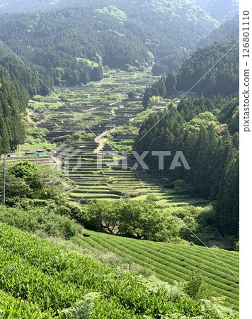 Rice terraces immediately after rice planting, decorated with the clear blue sky of May and the fresh greenery of Mount Kurakake (Yotsuya Senmaida, Shinshiro City, Aichi Prefecture) 126801110