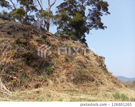 川鄉森城：主城牆的土方工程 126801265