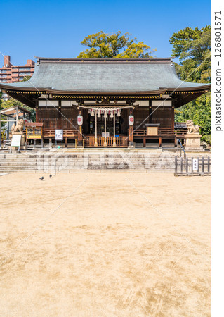 Yuzuruha Shrine, worship hall (Yatano Crow guides wishes) The god of victory, Kumano Okami, is enshrined in Mikage Gunge, Higashinada Ward, Kobe City Yuzuruha Shrine, worship hall (Yatano Crow guides wishes) The god of victory, Kumano Okami, is enshrined in Mikage Gunge, Higashinada Ward, Kobe City 126801571