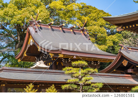 Yuzuruha Shrine, main hall (Yatano Crow guides wishes) The god of victory, Kumano Okami, is enshrined in Mikage Gunge, Higashinada Ward, Kobe City. 126801581