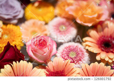 漂浮的花朵的特寫 126801792