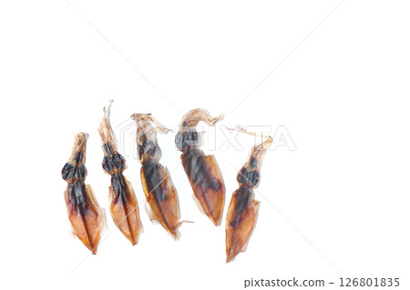 Dried firefly squid on a white background 126801835