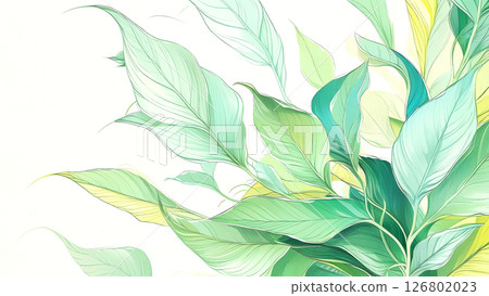 葉子植物 126802023