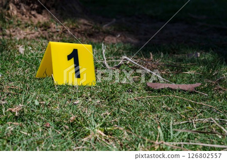 One yellow crime scene marker on green grass. High quality photo One yellow crime scene marker on green grass. High quality photo 126802557