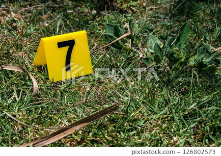 One yellow crime scene marker on green grass. High quality photo 126802573