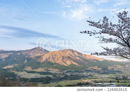 以阿蘇山為背景的全景：「從觀音櫻公園的草坪區域（瞭望台）看到的壯麗景色」（阿蘇地區南阿蘇村） 126802618