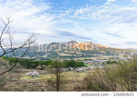 以阿蘇山為背景的全景：「從觀音櫻公園的草坪區域（瞭望台）看到的壯麗景色」（阿蘇地區南阿蘇村） 126802623