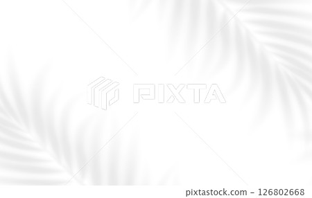 Realistic shadow of palm branches on transparent background. Blurry transparent shadow overlay effect tropical leaves. Vector illustration 126802668