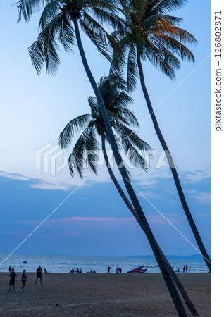 "Palm trees at dusk 126802871