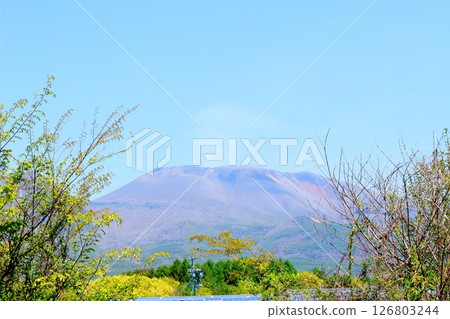 五月的淺山和高原菜田 信州的山脈 信州的風景 五月的淺山和高原菜田 信州的山脈 信州的風景 126803244