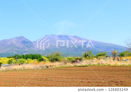 五月的淺山和高原菜田 信州的山脈 信州的風景 126803249