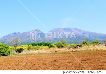 五月的淺山和高原菜田 信州的山脈 信州的風景 五月的淺山和高原菜田 信州的山脈 信州的風景 126803250