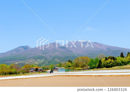 五月的淺山和高原菜田 信州的山脈 信州的風景 126803326