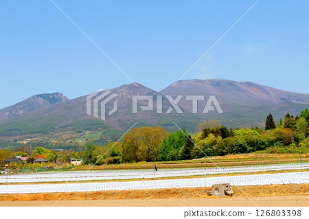 Mt. Asama and highland vegetable fields in May Mountains of Shinshu Scenery of Shinshu 126803398